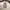 Vintage Grunge Midi dress Wanita brown cream photo 1