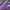 Puma palermo violet size 43 photo 2