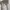 Ermenegildo Zegna Couture Stripped Longsleeve Shirt Original photo 4