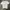 Kaos tshirt mammut photo 4