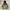 Fieldcore Gorpcore Windbreaker Pria tan photo 1