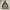 Fieldcore Gorpcore Windbreaker Pria tan photo 3