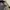 Fieldcore Gorpcore Windbreaker Pria tan photo 5