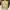Harington canvas jacket Bean pole photo 5