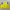 Adidas Casual Sweater Pria yellow photo 1