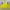 Adidas Casual Sweater Pria Yellow