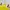 Adidas Casual Sweater Pria yellow photo 2