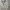 Polo Ralph Lauren White Soft photo 4