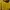 Casual Windbreaker Pria yellow photo 2