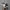 nike jordan photo 2