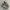 Adidas Casual Casual shoe Pria white brown photo 1