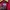 Nike arsenal jacket windbreaker photo 7