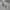 Converse Streetwear Casual Hoody Pria gray photo 2