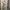 Fluffy Semi Velvet White Floral Milkmaid Lace Dress Kawaii K