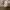 Minimalist Short Wanita white photo 1