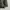Hoodei Gucci luxury brand photo 4