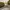 90’s oakley e wire gold frame brown lens photo 10