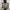 Streetwear Y2K Bag Pria white green photo 3