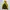 Kolping Outdoor Jacket Gorpcore 