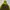 Kolping Outdoor Jacket Gorpcore  photo 3