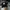 Converse Streetwear Casual Hat Pria black photo 1