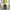 Hoodei OiOi big logo bordir casual photo 8