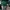 Converse Streetwear Casual Hat Pria green black photo 2
