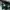 Converse Streetwear Casual Hat Pria green black photo 1