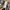 Carhartt Streetwear Pria brown photo 6