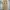 Carhartt Streetwear Pria brown photo 1