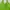 halter neck neon green summer tanktop photo 3