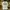 Louis Vuitton Luxury T-shirt Pria White