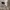 MLB Avant Garde Short Pria white photo 2
