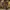 Burberry Luxury T-shirt Pria tan photo 1