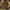 Burberry Luxury T-shirt Pria Tan