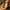 Burberry Luxury T-shirt Pria tan photo 5
