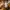 Burberry Luxury T-shirt Pria tan photo 7