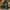 Burberry Luxury T-shirt Pria green photo 2