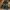 Burberry Luxury T-shirt Pria green photo 1