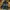 Burberry Luxury T-shirt Pria Green