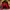 Balenciaga Luxury Sweater Pria Red