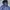 Puffer Parasut Polo Ralph Lauren Basic Logo Hidden Hoodie photo 4