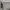 Marc Jacobs The Duet Leather Satchel photo 9