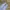 Kemeja MOSSIMO DUTTI Branded Blue Linen Long Sleeve photo 9