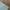 Kemeja CALVIN KLEIN Branded Pastel Linen Long Sleeve photo 8