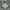Bisoudeve Graphic Thermal Tanktop photo 4