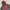 Pullover Hoodie Dickies  photo 2