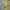 Vintage Y2K Cami top Wanita yellow photo 2