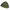 70's US Army M65 Liner Field Jacket   photo 6