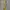 Vintage Y2K Belt Wanita yellow photo 1